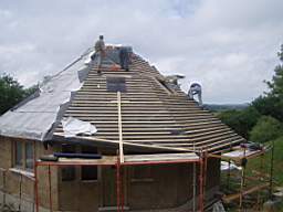 tullahemp 2410.jpg
